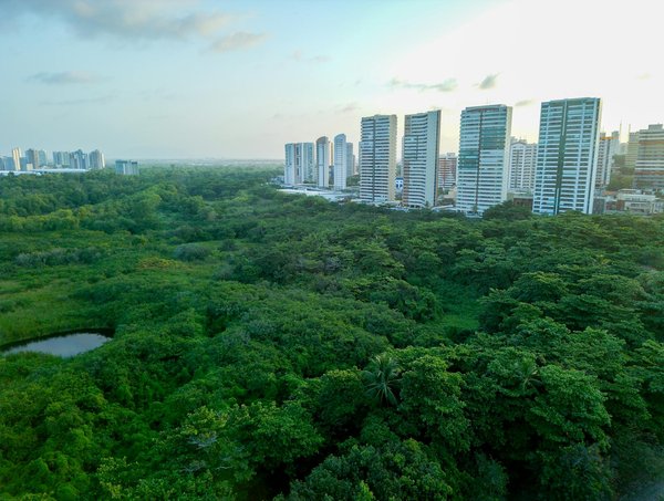 L'Impact Stratégique du Manager sur la Gestion Efficace d'un Cabinet Médical